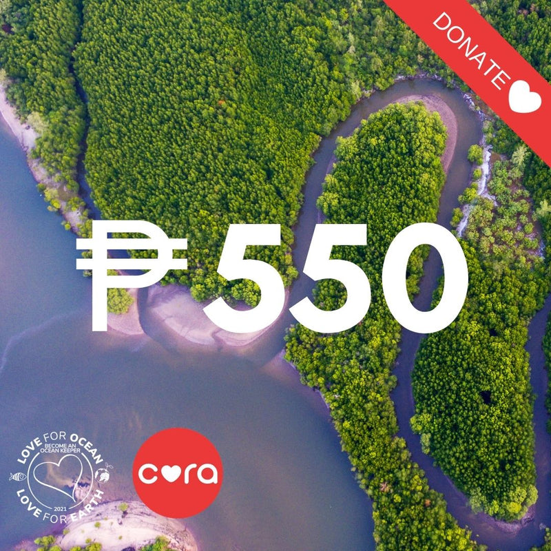 Mangrove Rehabilitation Package